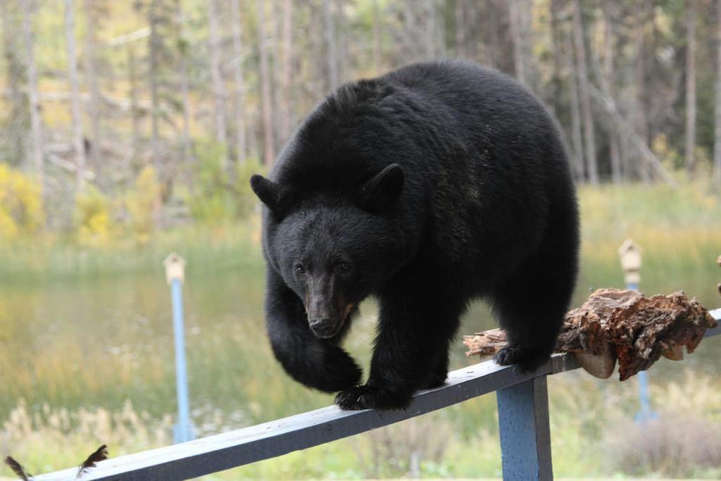 Lac Le Jeune Resort & Nature Centre 캠룹스 외부 사진