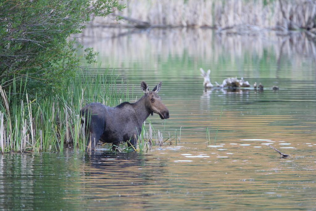 Lac Le Jeune Resort & Nature Centre 캠룹스 외부 사진